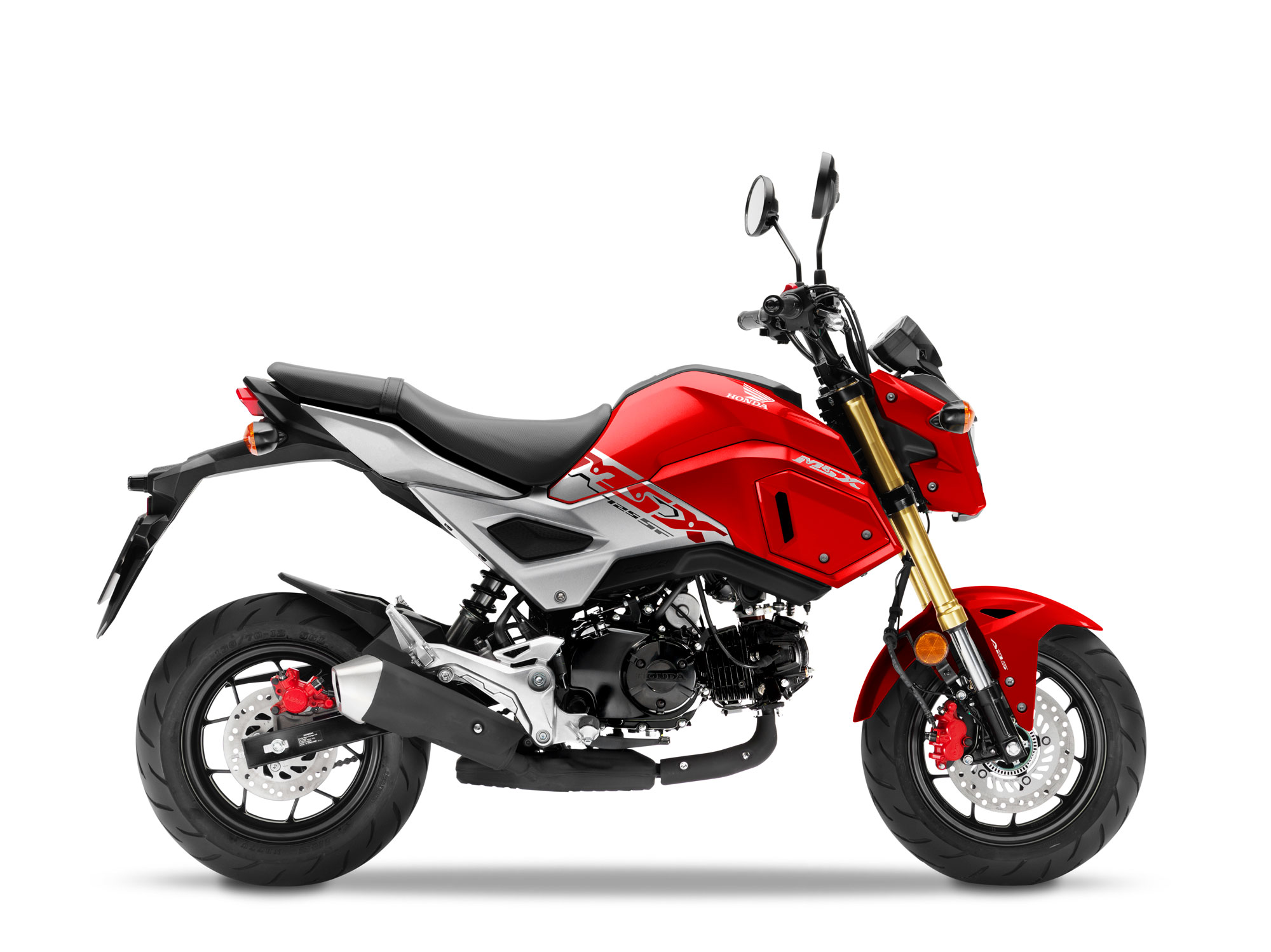 Honda MSX125 - P&H Motorcycles
